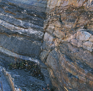 Deformaciones de las rocas Los cambios en la estructura de las rocas pueden