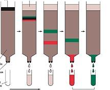 Cromatografía CROMATOGRAFÍA EN COLUMNA Las diferentes proteínas se retrasan según sus interacciones con la matriz, de acuerdo a su carga, hidrofobicidad, tamaño o unión a grupos químicos Muestra