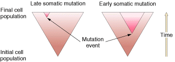 Mutaciones Germinales: Daño y Riesgo Genético Esterilidad (no viabilidad de
