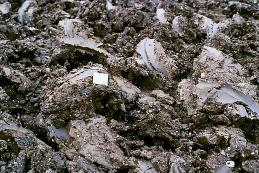 Efectos del óxido de calcio sobre el suelo tratado 1.