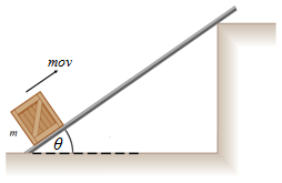 11. La figura A muestra a un bloque de masa m sostenido por un resorte unido al techo. La figura B, muestra dos bloques de masas m/2 colgando mediante dos cuerdas unidas a un resorte.