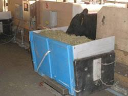 Consumo de Alimento Residual (CAR) Medida de elección en la evaluación de la eficacia de la alimentación en el ganado bovino.