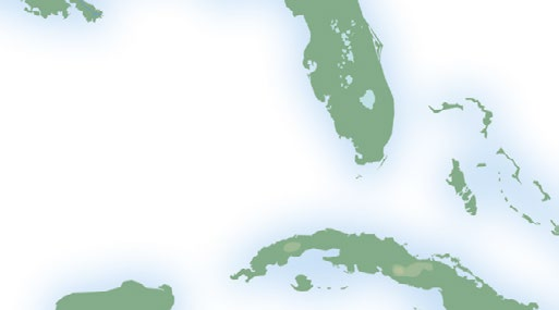 MIAMI NASSAU Bahamas Océano