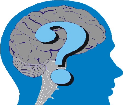 El sistema nervioso y particularmente el cerebro son tejidos cuya composición es principalmente lipídica ya que mas de un 60% de su peso seco está constituido por lípidos, especialmente por
