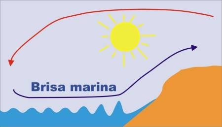 Para entender la circulacion atmosférica global podemos comenzar estudiando la brisa marina.