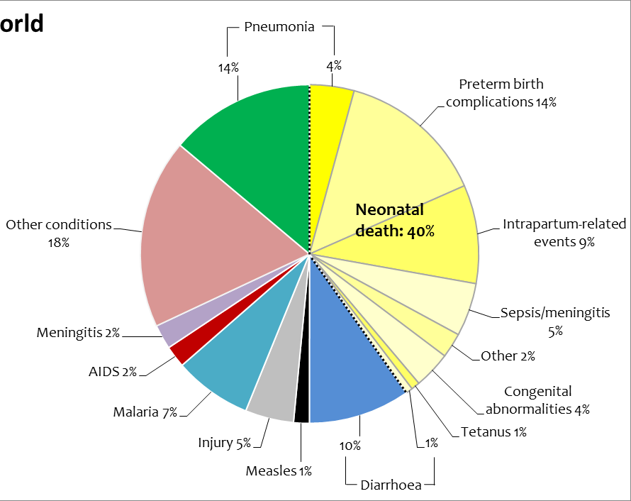 Conocemos las causas de muerte de los recién nacidos 3 millones 3 causas principales: 43% Prematurez Asfixia al nacer Infecciones neonatales Fuente: Liu et al.