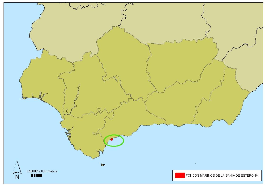 1. Descripción breve El LIC Fondos Marinos de la Bahía de Estepona (ES6170036) es un espacio marino que se localiza en la comarca de la Costa del Sol Occidental, frente a las costas del municipio de