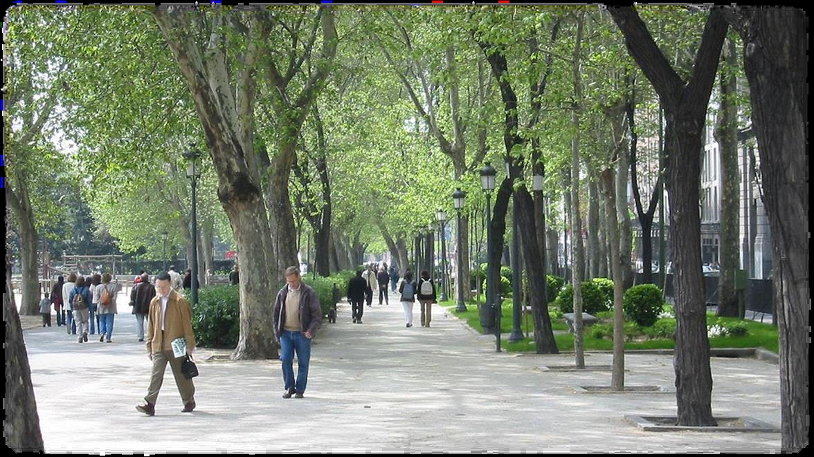 Paseo del Prado 10:00 20:00 horas - Las actividades se distribuirán a lo largo del Paseo del Prado entre la Plaza de Cibeles y la Plaza de Cánovas del Castillo (Neptuno).