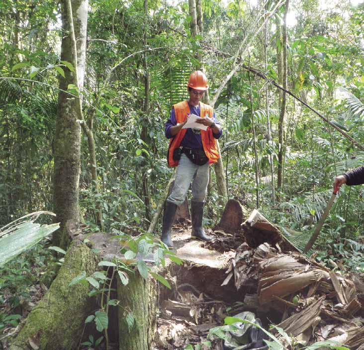 Supervisión del OSINFOR a permiso forestal de la CC.NN.