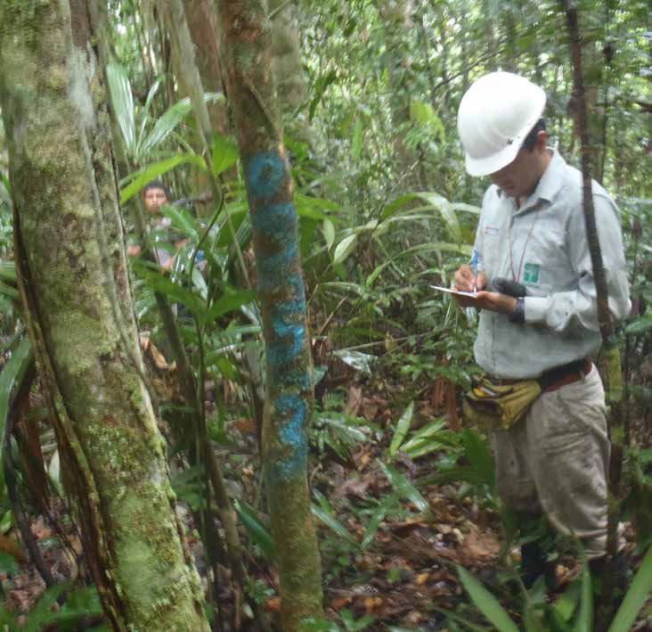 56 Supervisión del OSINFOR a permiso forestal de la CCNN