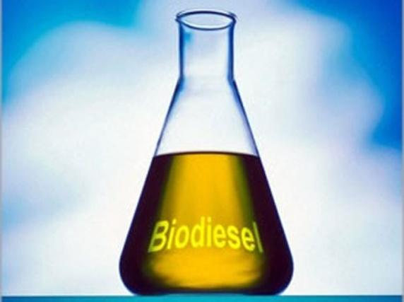 BIOCOMBUSTIBLES Los biocombustibles = oportunidad para disminuir la dependencia de fuentes fósiles y fomentar el desarrollo rural sustentable Viabilidad Técnica,