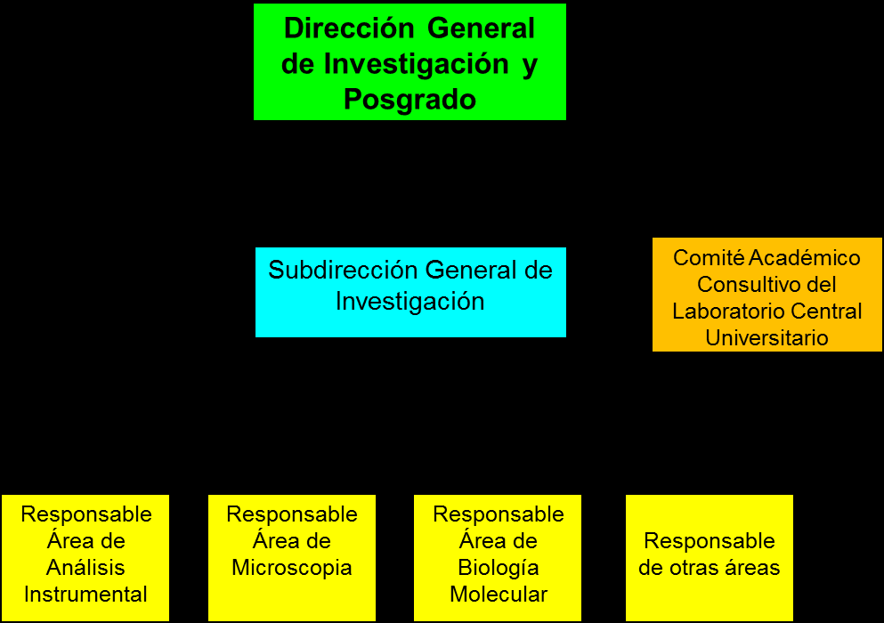 Figura 1. Organigrama General del Laboratorio Central Universitario de Investigación y Servicio de la UACh 8.