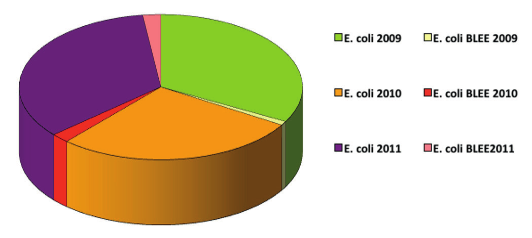 M.ª C. Miranda García, et al. Figura 1. Número de cepas aisladas de E. coli y E. coli con BLEE en los años 2009, 2010 y 2011. Tabla 2.