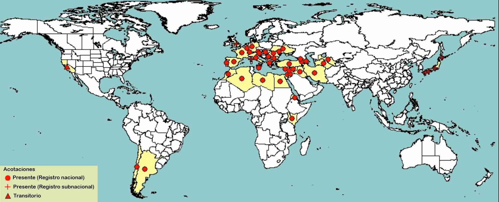 Cuadro 2. Distribución geográfica de la palomilla europea de la vid. Países con reportes de L. botrana África Asia América Europa Argelia, Egipto, Eritrea, Kenia, Libia, Marruecos.