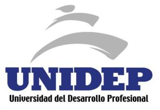 Universidad del Desarrollo Profesional
