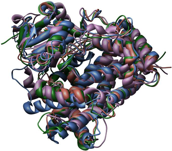 Desintoxicación en el hígado Reacciones catalizadas por las enzimas de la familia del citocromo P450: Actúan sobre drogas y