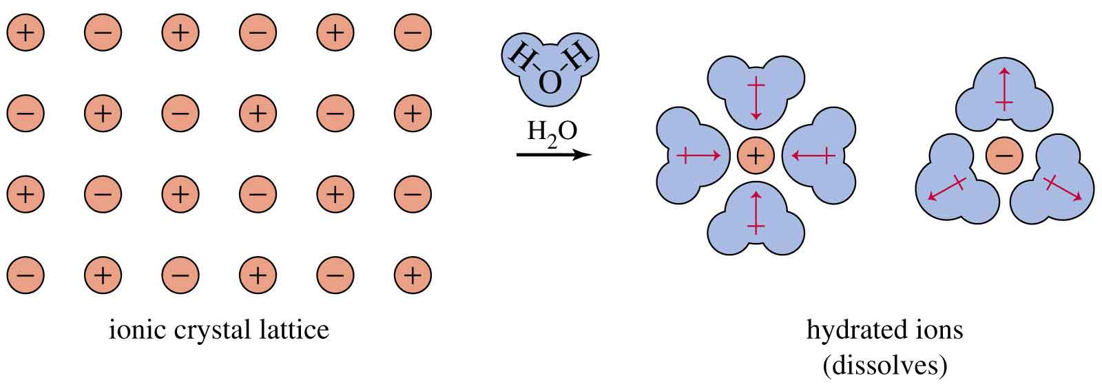 ) Interacción ion-dipolo Se produce entre un ion y una molécula neutra polar.