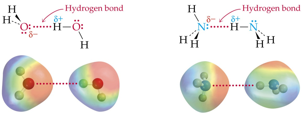 B) Interacción puente de hidrógeno Atracción intermolecular que existe entre el átomo de hidrógeno de un enlace polar, O y F, y un par de