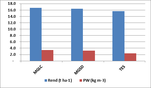 goteo (MGSD y MGLC) mostraron eficiencias y láminas similares 92% y 50 cm respectivamente, mientras que el testigo consumió una lámina de agua de 65 cm con eficiencia de 62% muy por encima a la media