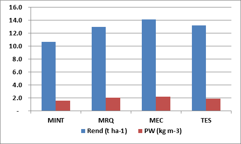 Figura 8. Rendimiento y productividad del agua en ensayo de maíz-técnicas de riego por gravedad Métodos de riego en frijol.