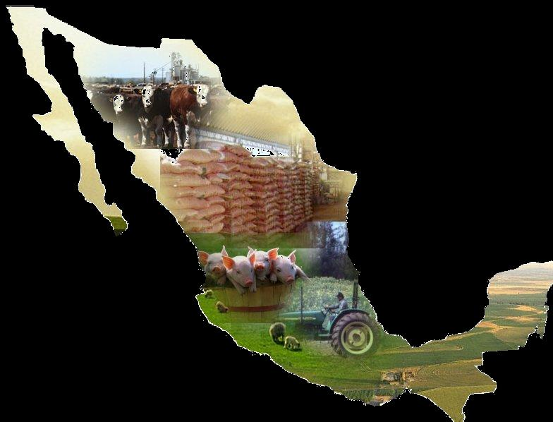 México HOY Datos y hechos 2 Pobreza (Nacional) 46.