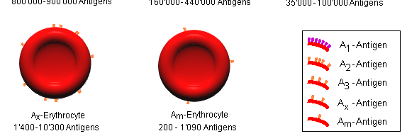000 Ags 160.000-440.000 Ags 35.000-100.