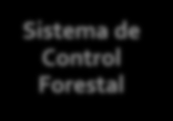 Manejo sustentable recursos forestales Sistema de Control Forestal Transparencia