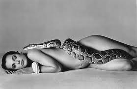 BELLEZA AUTOR: RICHARD AVEDON/Natassja Kinski and the serpent/1981 Elegí esta fotografía para el concepto de belleza porque muestra claramente la hermosura del cuerpo femenino, ademas de la perfecta