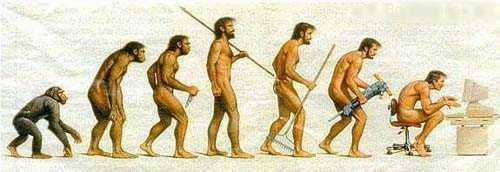 La noción de evolución y los principales eslabones de la cadena evolutiva