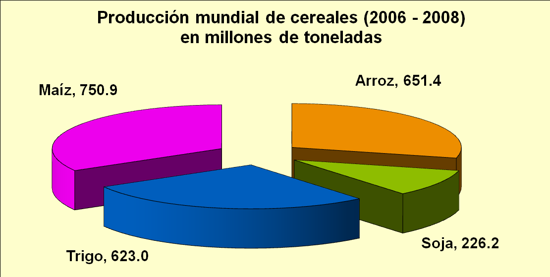 CEREALES Fuente: Base de datos FAO Arroz, uno de los cereales mas producidos en el mundo.