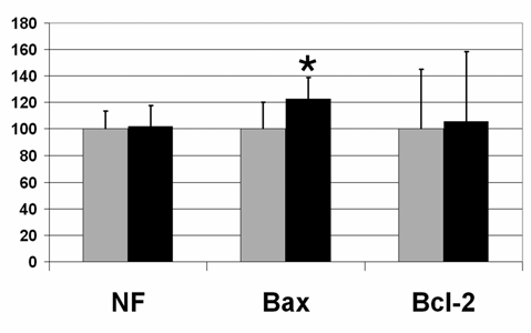 Análisis estadístico Análisis no paramétricos: Diferencias entre grupos Test Mann-Whitney Efecto del área Test ANOVA Kruskal-Wallis Test Mann-Whitney Relación entre valores de inmunomarcaje de Bax y