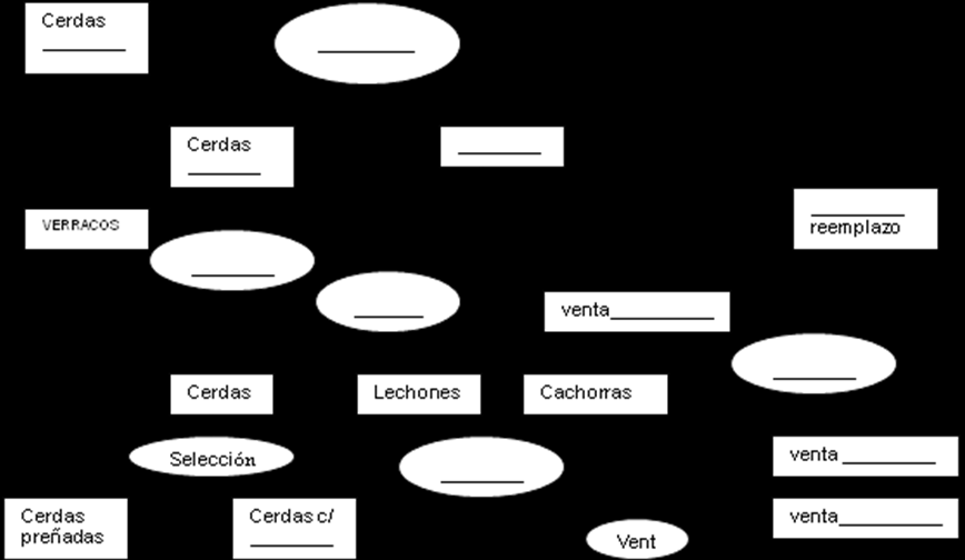 3. Diagrama de flujo del recurso animal de un modelo cuantitativo de producción de carne ovina, realice los cálculos y complete los recuadros mostrando los cálculos: Categorías Cantidad Edad kg PV