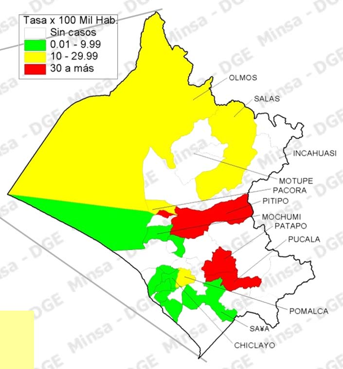 Aedes * 20/ 38 Índice aédico enero 2015* Distritos: Pátapo Jayanca Motupe Pucalá de viviendas con acceso de agua potable por departamento** Fuente: DIGESA/