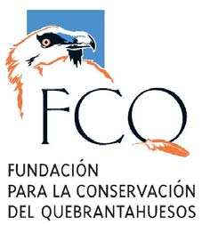 COLABORACIÓN DE: - Fundación
