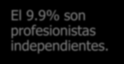 9% son profesionistas independientes. Otro 9.1% No Contesto 3.5% Empresario 1.