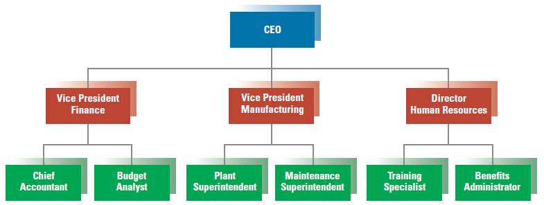 Estructura de la Organización (cont.