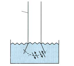 semipermeable Agua Membrana semipermeable Solución P