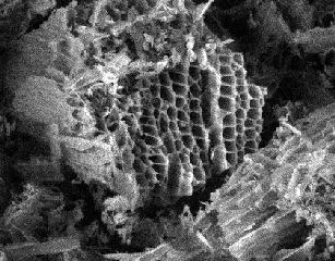Nanoporos en una muestra de carbono