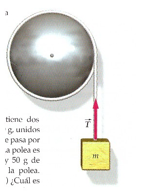 Solución: 3,1 m/s 2 ; T 1 = 12 N; T 2 = 13 N. 16. Mediante un torno de engranaje se está procediendo a levantar un coche de 1.200 kg del modo que se indica en la figura.