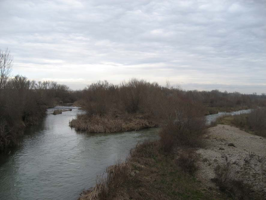 soto y el cauce de la margen izquierda del río Alcanadre aguas abajo de la localidad de Albalatillo. Ref. 33.