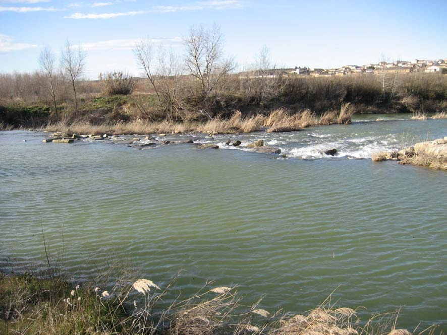 regadío del río Alcanadre a su paso por la