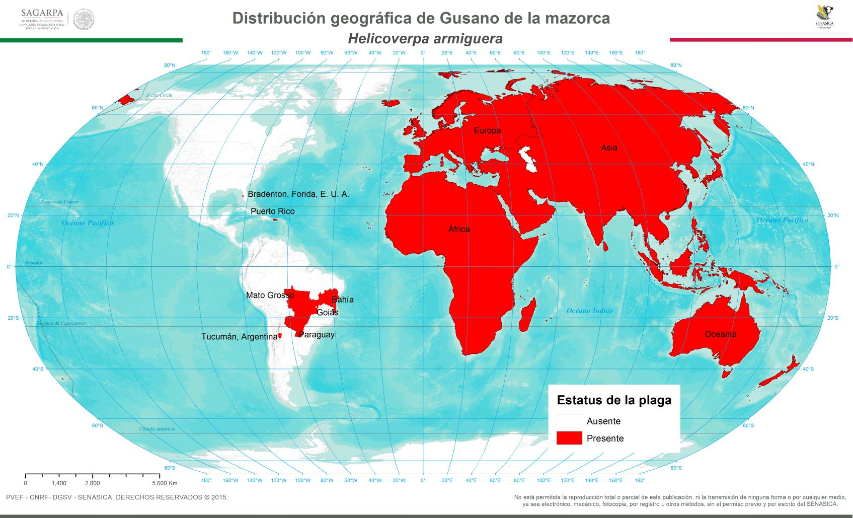 Distribución mundial América África, Asia, Europa, Oceanía Brasil, Argentina,