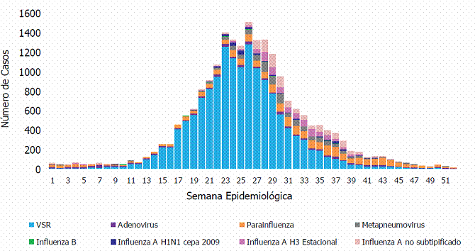 de 2 semanas aproximadamente. El inicio del brote se estima para la semana 23 (03/06), y el pico para la semana epidemiológica 25 (17/06).