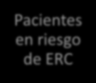 234 pacientes en riesgo de ERC en