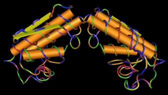 reparadoras del ADN (Ej: endonucleasa III) NADP - GSH