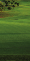 golf de calidad. Asimismo, Alcanada también es miembro fundador de Leading Golf Courses of Spain.