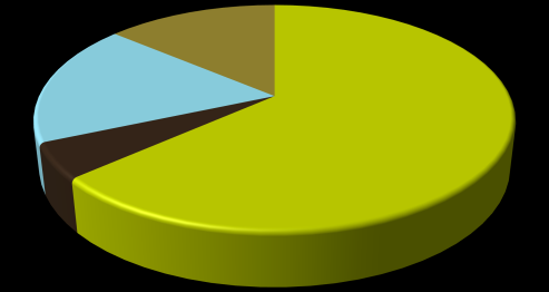 9. EVOLUCIÓN DE LA ACCIÓN Y ESTRUCTURA ACCIONARIAL EVOLUCIÓN DE LA ACCIÓN ACCIONISTAS PRINCIPALES Y DATOS BURSÁTILES BANKIA (datos bursátiles) jun-15 Institucional Extranjero 17,64% Minoristas 13,86%