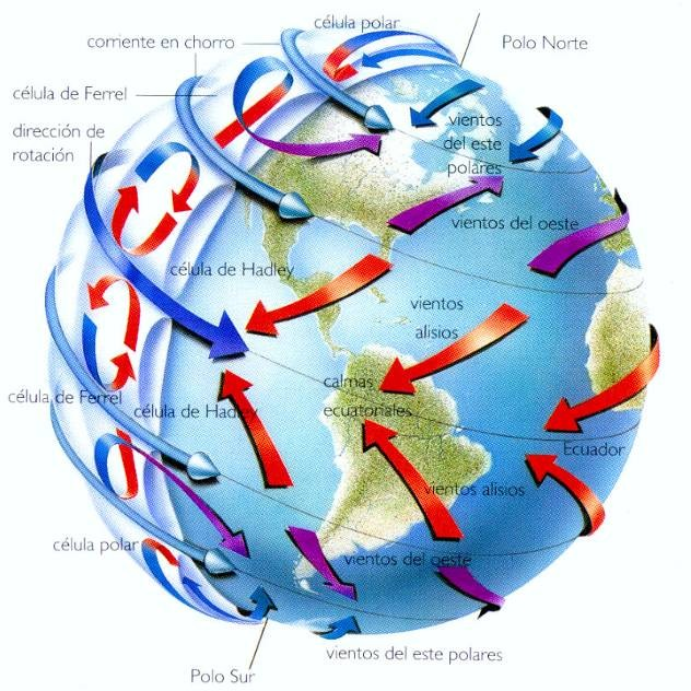 Circulación de Hadley El aire que fluye hacia los polos se mueve también hacia el este junto con la tierra 1) Tierra que rota En el ecuador lo hace al mismo ritmo, conforme se mueve hacia los polos