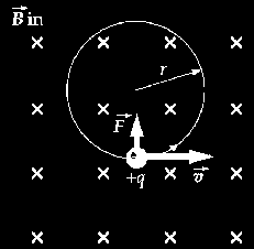 B F Figura 8.7. Trayectoria circular de una carga que se ueve perpendicularente a un capo agnético unifore.