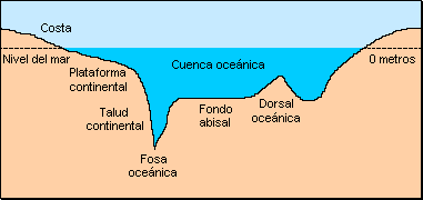 Formas de la superficie terrestre 3) Formas del relieve submarino Llanura o fondo abisal Inmensa zona que se extiende entre los 3000 y 7000 m de